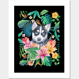 Tropical Black White Husky Puppy 13 Posters and Art